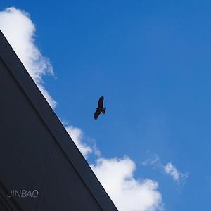 非洲巨大进入亚洲身体
